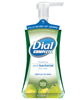 Just Released! $1.00 off 2 Dial Complete Foaming Hand Soaps