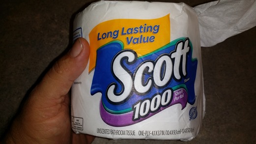 What I Learned When I Got My FREE Roll of Scott Tissue!