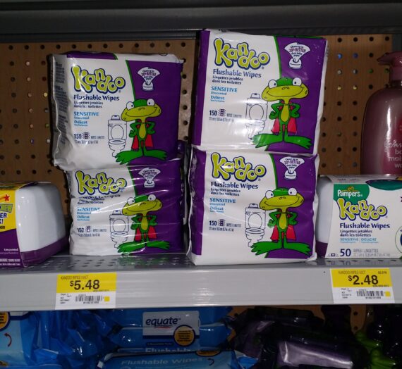 Kandoo Wipes Just $1.38 At Walmart!