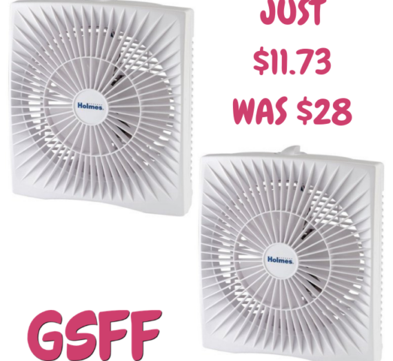 Personal Box Fan Just $11.73! Down From $28!