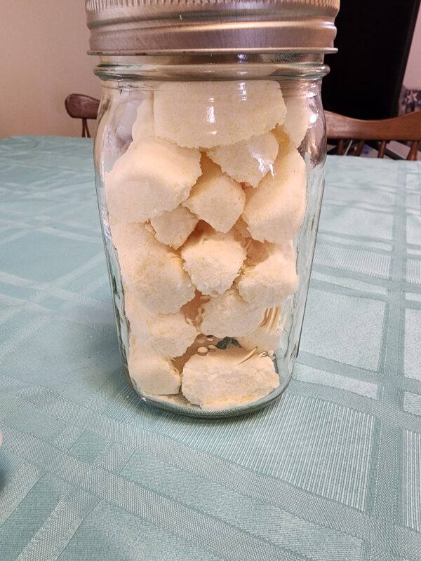 DIY Laundry Tabs in a Mason jar